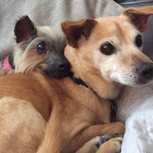 Meet your Posher, Becca